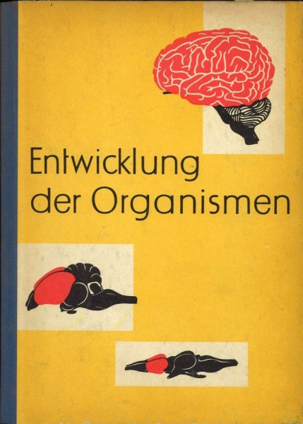 Entwicklung der Organismen. Lehrbuch der Biologie  5. durchgesehene Auflage Ausgabe 1960